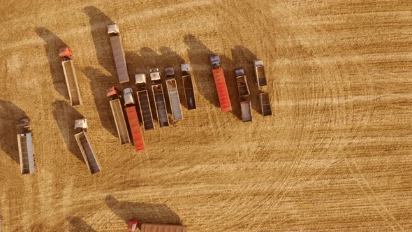 Aerial View of Grain Trucks on the Field