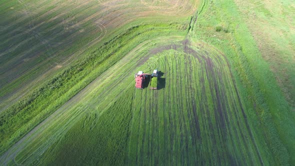 The Combine Harvester Removes the Green Grass. The Mown Grass Is Reloaded Into the Tractor Trailer.