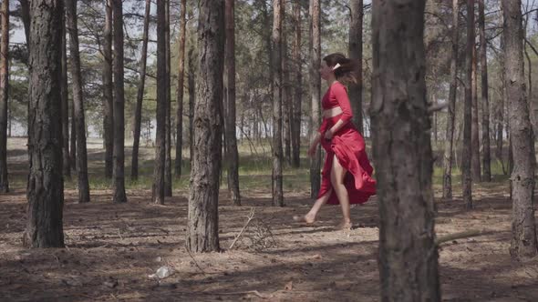 Graceful Woman in Red Dress Dancing in the Forest Landscape. Beautiful Contemporary Dancer. Graceful