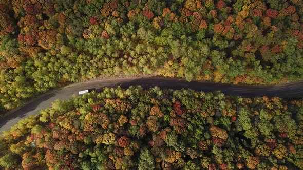 Nature Countryside and Car Driving Through Autumn Colors Forest