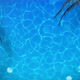 Summer Time Background 4K - VideoHive Item for Sale