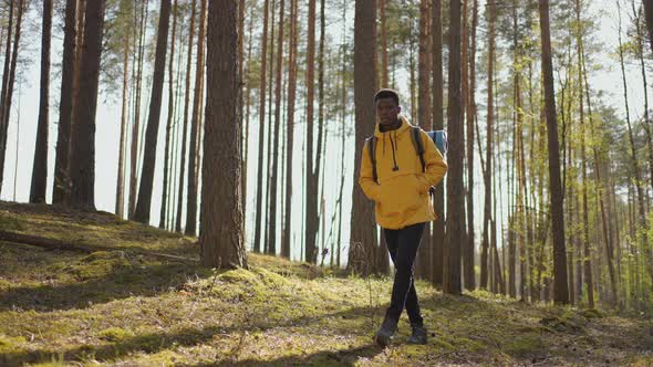 Black African Male Hiking on Trail Up Peaceful Lush High Elevation Green Forest with Sun Flares