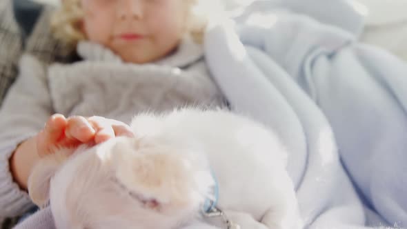 Little girl sitting on sofa stroking her pet cat 4K 4k