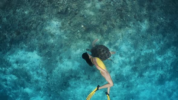 Freediving or Snorkeling Trips. Large Turtle and Young Girl Swimming Underwater Together in Slow