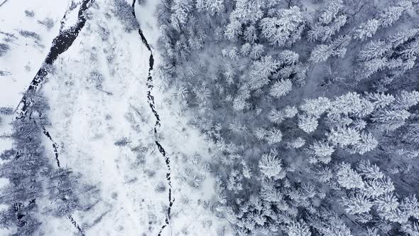 Bird's Eye View Of Stream And Forest Covered With Snow At Wintertime In Kuznice, Zakopane, Poland. -