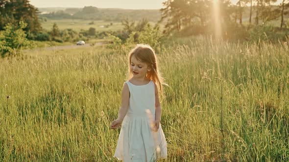 A Cute Girl with Flowing Hair in a White Summer Dress Stands Among the Green Spikelets She Breaks