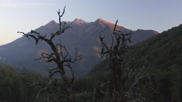 Shooting From Helicopter Natural High Mountain Covered By Dense Green Forest Treetops at Sunset