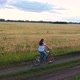 Girl with a Guy Riding a Bike Along a Wheat Field - VideoHive Item for Sale