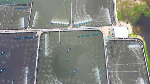 Aerial Drone Shot Of Shrimp Farms in Vietnam. Aquaculture Business.