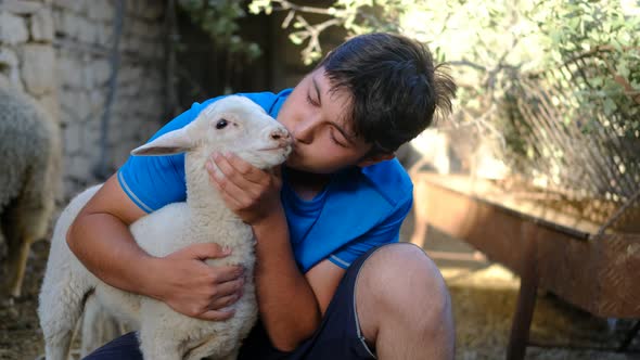 Young Shepherd Looking After Lamb Barn