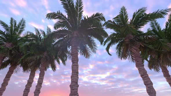 Motion Through Palm  alt