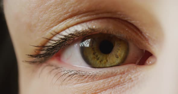 Close up view of a green eye