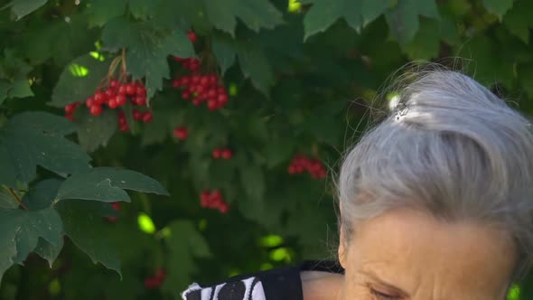 Beautiful Old Grandmother with Grey Hair and Face with Wrinkles is Looking at the Camera with Smile