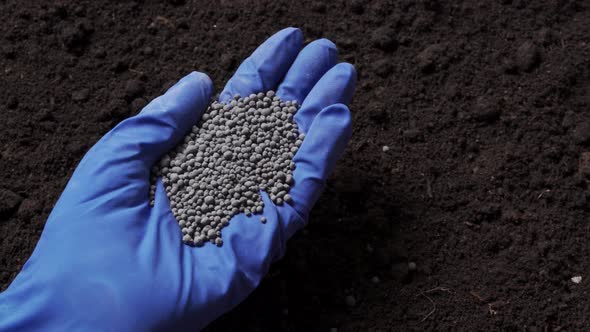 Mineral Fertilizer in Hand