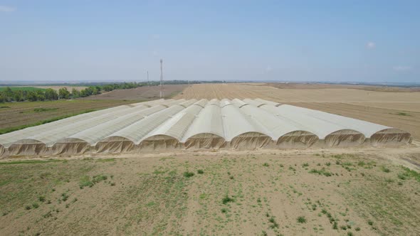 Greenhouses At Alumim Kibbutz at Sdot Negev, Israel