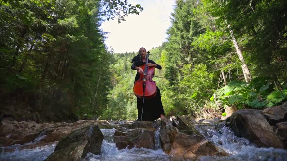 Cellist playing music on green nature background. Beautiful woman in black dress plays the cello 