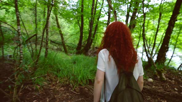 Tourist Walks Through the Forest