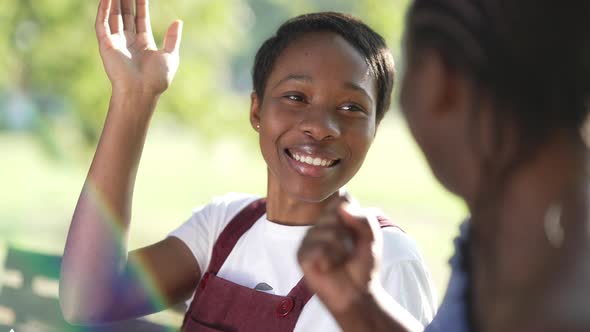 Happy African American Female Student Gesturing Highfive with Friend Laughing Sitting in Sunshine in