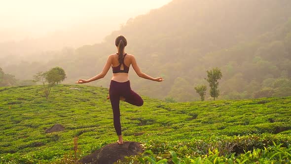 Back View of Young Woman Doing Yoga Poses and Breathing in Tea Plantation in Kerela Munnar