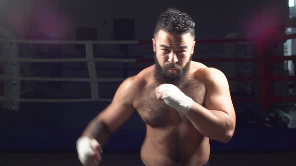 Portrait of a Boxer Working Out Bumps in Ring. Young Man in Training for Boxing