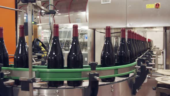 Red Wine bottles on a conveyor belt in a wine bottling factory.