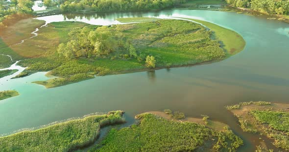 Aerial View of Rivers in Forests Landscape