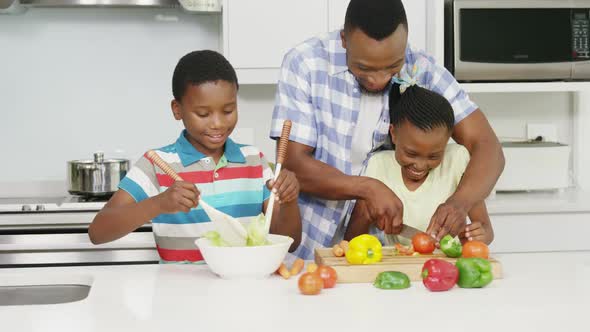 Father and children preparing vegetable salad in kitchen