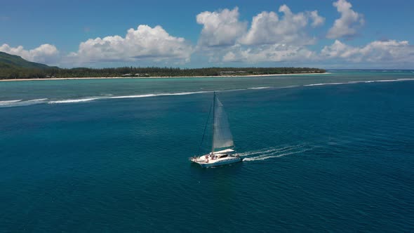 Sailing Catamaran in the Tropical Sea with Open Sails View From the Drone