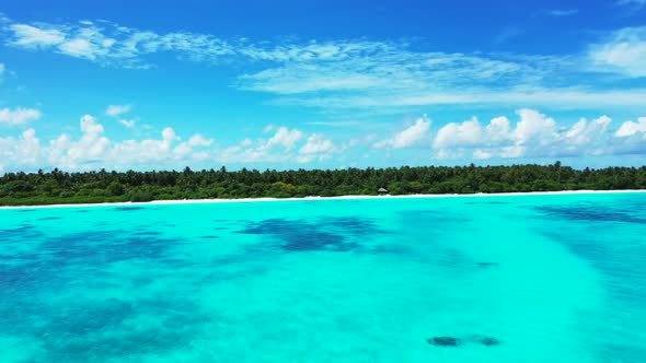 Aerial drone view travel of exotic resort beach wildlife by shallow ocean and bright sand background