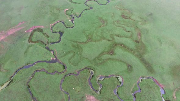 Meadow Meander