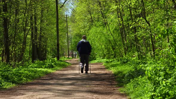 Unrecognisible Senior Man Nordic Walking with Hiking Sticks