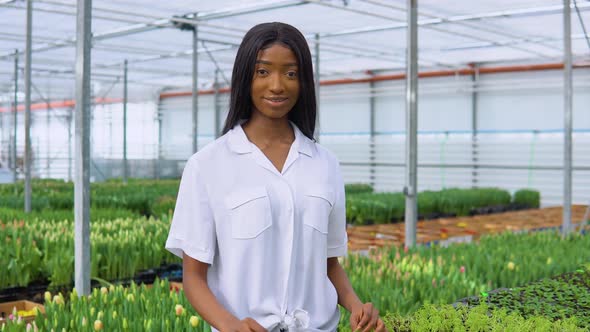 African American Young Girl in a White Shirt Takes Care of Plants in a Greenhouse