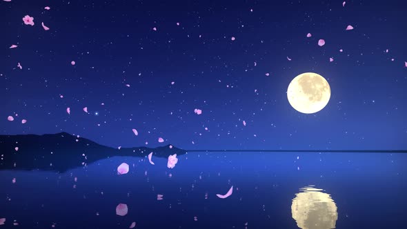 Petals Falling Down At moonNight