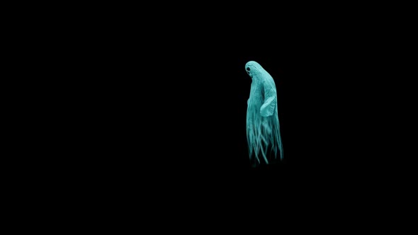 48 Ghost Halloween Thriller Part HD