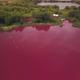 Unusual Landscape with Pink Lake, Aerial View, Ecological Catastrophe - VideoHive Item for Sale