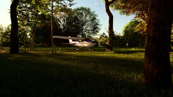 Airplane Landing in the Forest