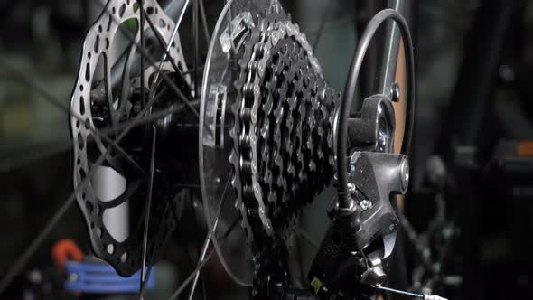 Bicycle Wheel Gear and Chain in Motion