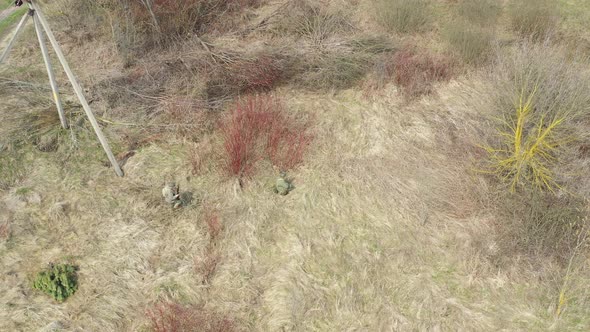 Men Dressed As US American Soldiers Of USA Infantry Of World War II Sneaking Around In Spring Autumn