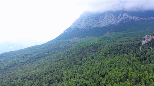 Panoramic Aerial View of Mountain Valley with Evergreen Forests on a Foggy Morning