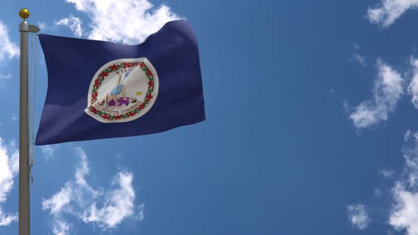 Virginia State Flag (Usa) On Flagpole