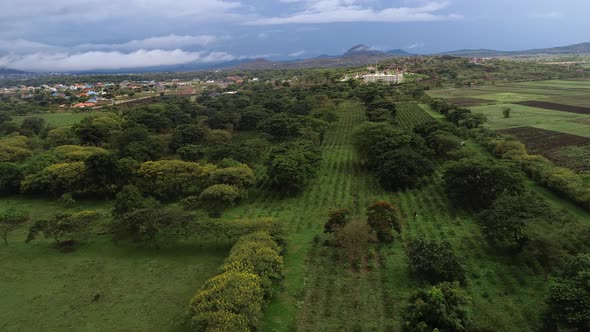 Aerial view of the Arusha City