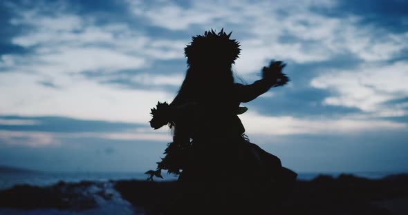 Silhouette of a traditional Hawaiian hula dancer alt