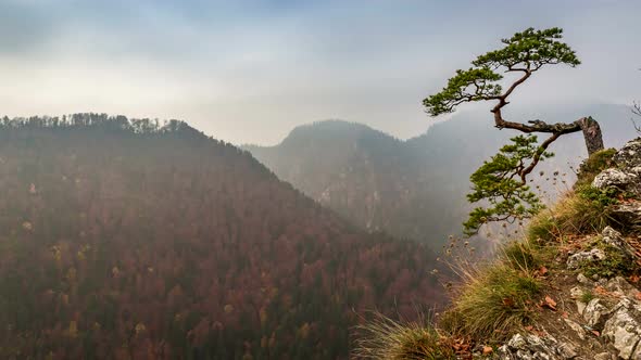 Sokolica peak of Pieniny mountains in sunrise, Poland, Timelapse