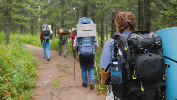 Group of Tourists with Backpacks and Equipment Walking Along Forest Trail