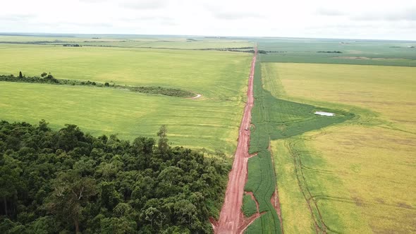 Dust Road split native Amazon forest from soybean field after deforestation.