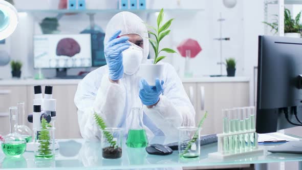 Testing New GMO on Plants in Modern Laboratory