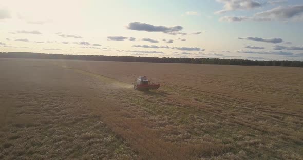 Camera Removes From Thresher Harvesting Cereal Above Field