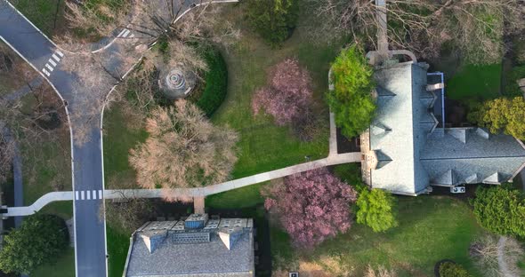 Ivy League university college campus buildings. Top down aerial of trees shrubs bushes in blossom, c