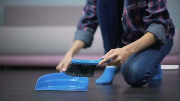 Young Housewife Cleaning Spotless Floor with Brush and Dustpan, Great Hygiene