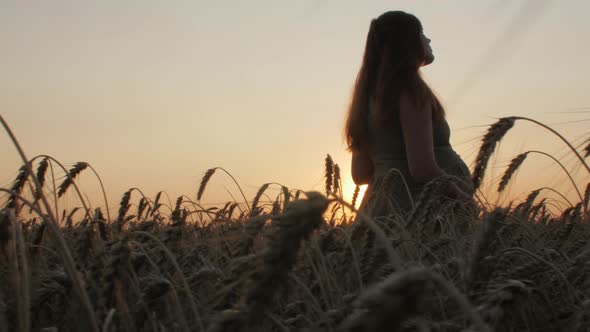 silhouette figure of happy pregnant red-haired young woman in dress standing in ripe wheat field